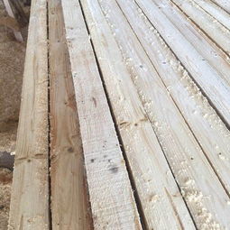 白松建筑木材市場報價淺析——以順通木材3米、4米規(guī)格為例